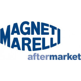 Żarówka kierunkowskazu HY21W Citroen C4 Grand Picasso